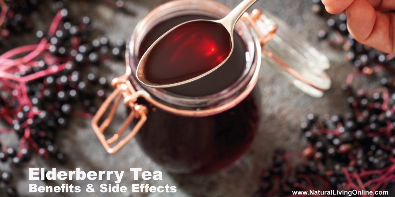 Elderberry Tea Benefits and Side Effects: What You Need to Know