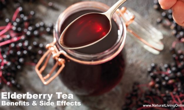 Elderberry Tea Benefits and Side Effects: What You Need to Know