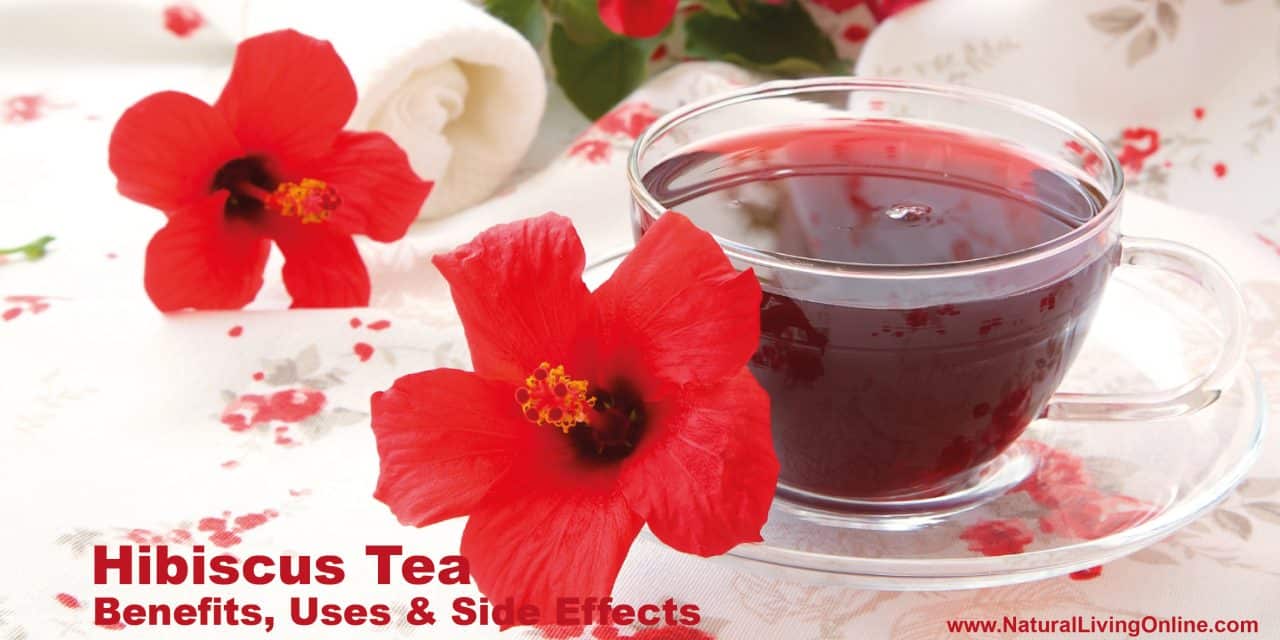 Hibiscus Tea Benefits: Key Health Advantages Explained