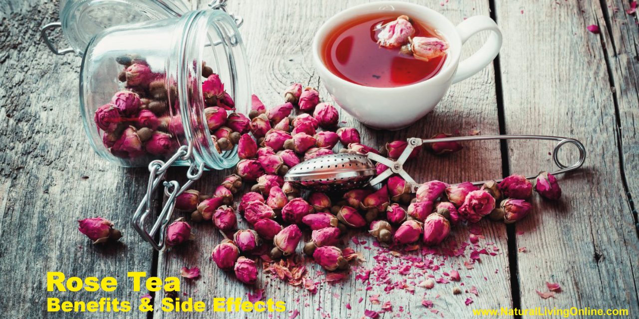 Rose Tea Benefits: Enhancing Wellness with Natural Antioxidants