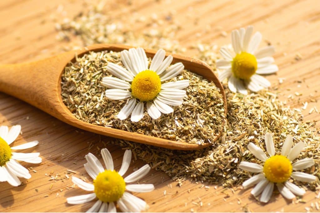 chamomile tea benefits