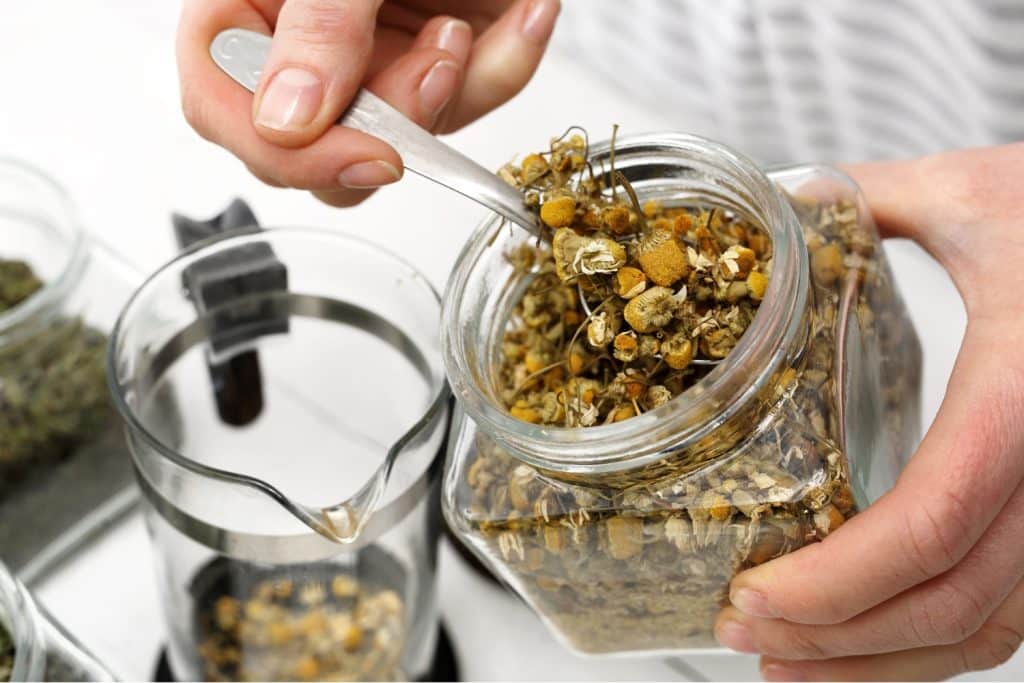 chamomile tea benefits