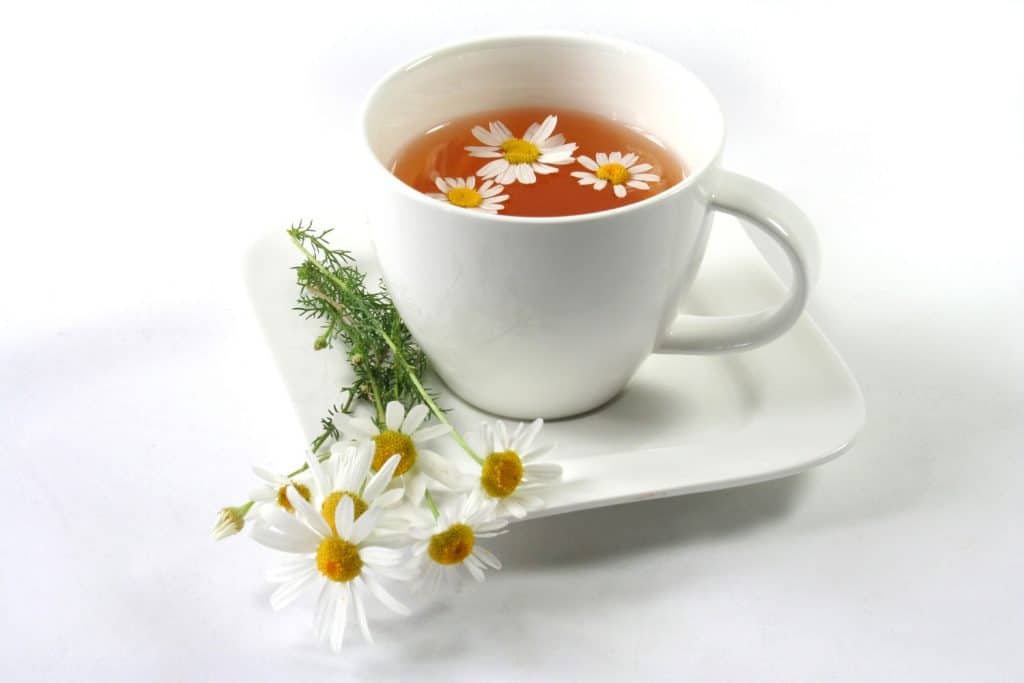 chamomile tea benefits