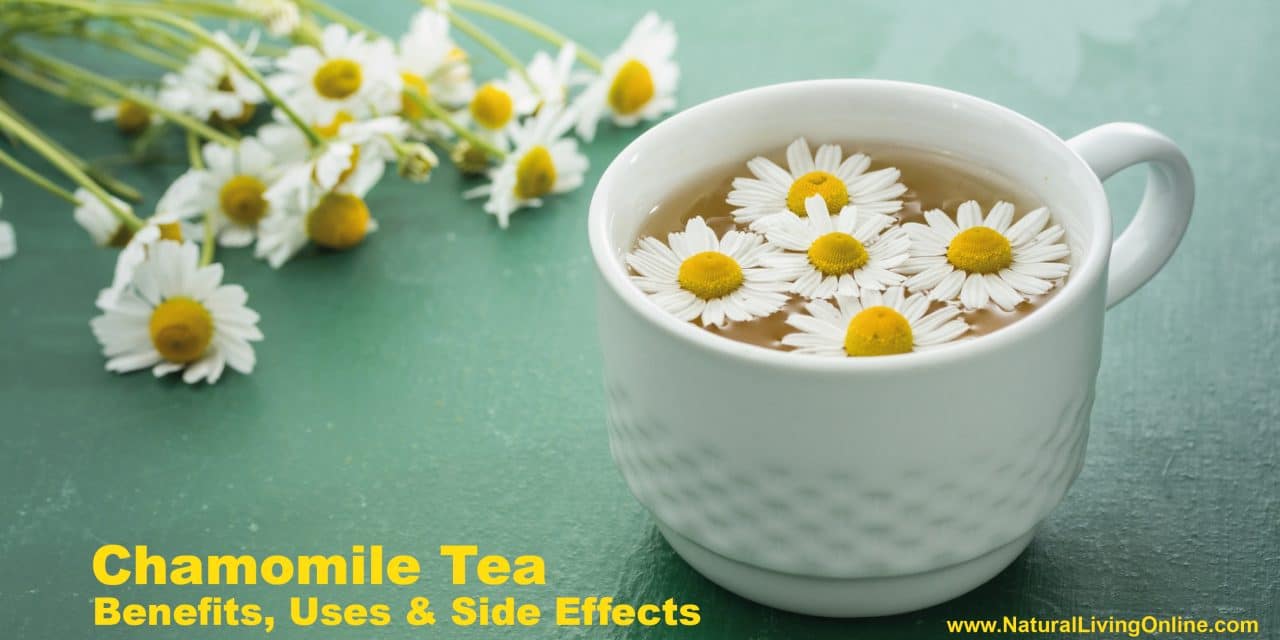 Chamomile Tea Benefits: Boosting Health and Wellness