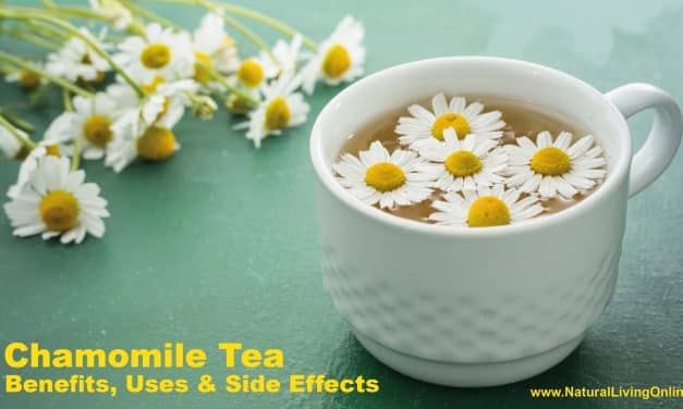 Chamomile Tea Benefits: Boosting Health and Wellness