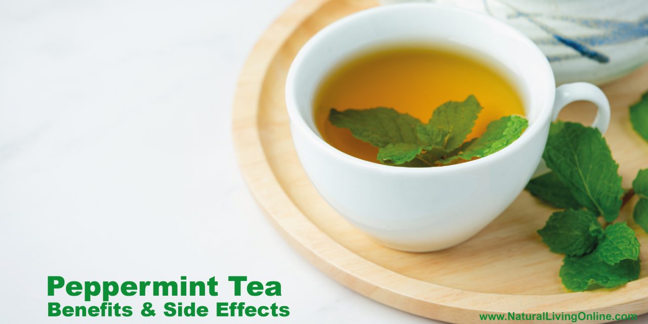 Peppermint Tea Benefits: Health Perks and Uses