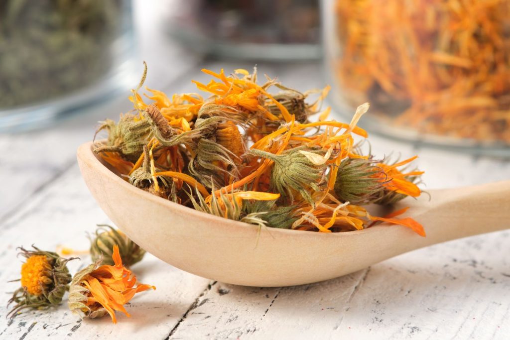 calendula tea benefits