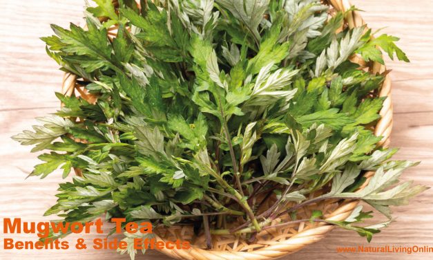 Mugwort Tea Benefits: A Natural Solution for Sleep and Digestion