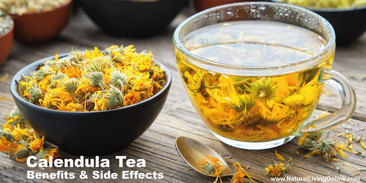 Calendula Tea Benefits: A Natural Remedy for Skin and Digestive Health