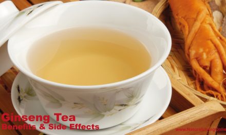 Ginseng Tea Benefits: Boost Your Health and Energy Naturally