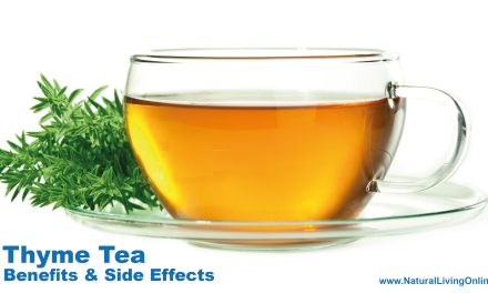 Thyme Tea Benefits and Side Effects: What You Need to Know