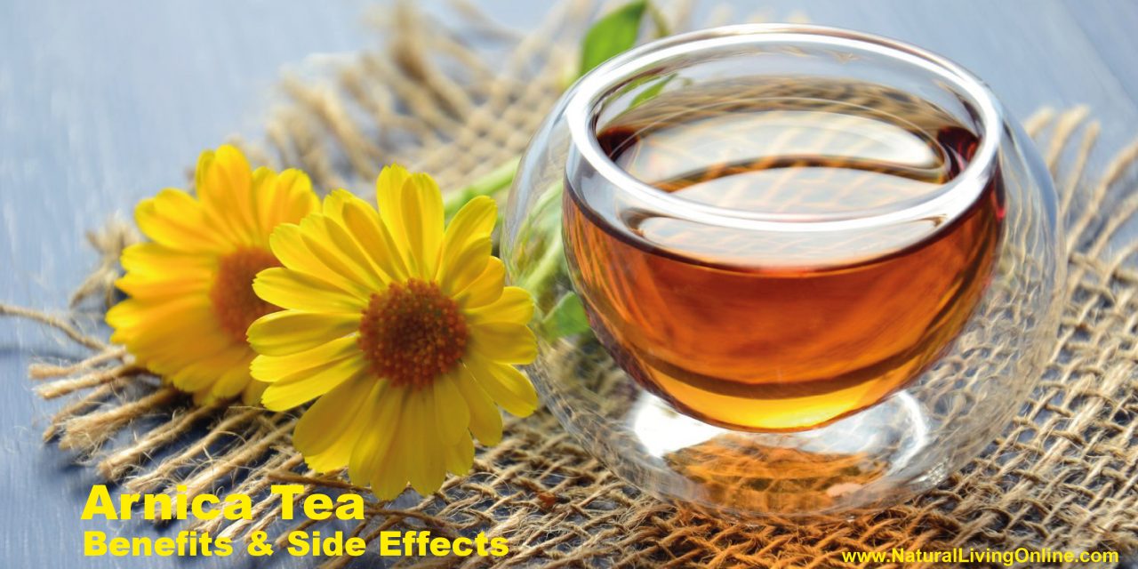 Arnica Tea Benefits & Side Effects: A Comprehensive Guide for Natural Healing