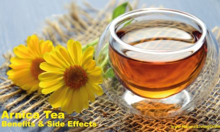 Arnica Tea Benefits & Side Effects: A Comprehensive Guide for Natural Healing