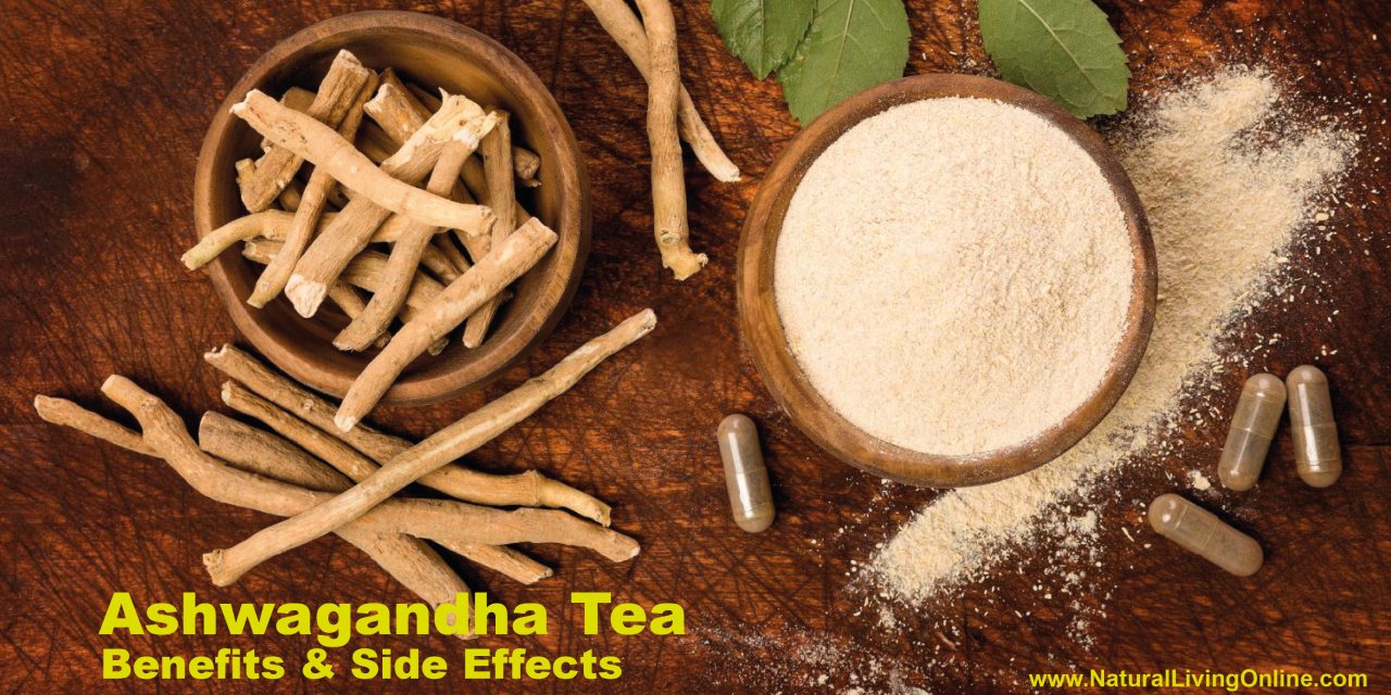 Ashwagandha Tea Benefits: Boosting Health and Reducing Stress Naturally