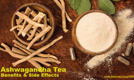 Ashwagandha Tea Benefits: Boosting Health and Reducing Stress Naturally