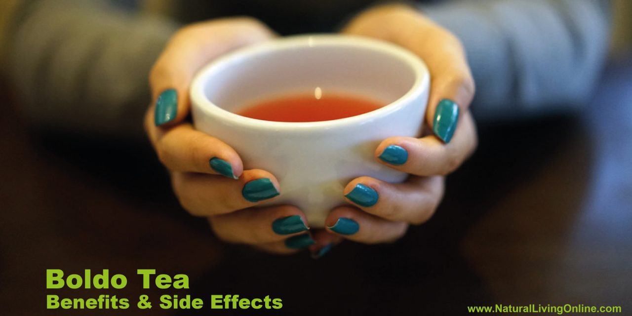 Boldo Tea Benefits and Side Effects: Comprehensive Guide on Uses and Precautions