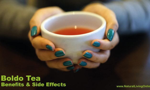 Boldo Tea Benefits and Side Effects: Comprehensive Guide on Uses and Precautions