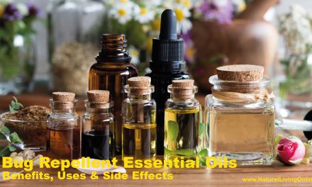 Top Bug Repellent Essential Oils: How to Use Them