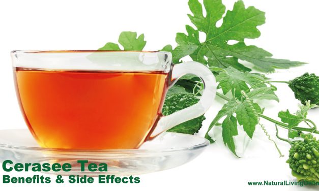 Cerasee Tea Benefits and Side Effects: Essential Health Insights