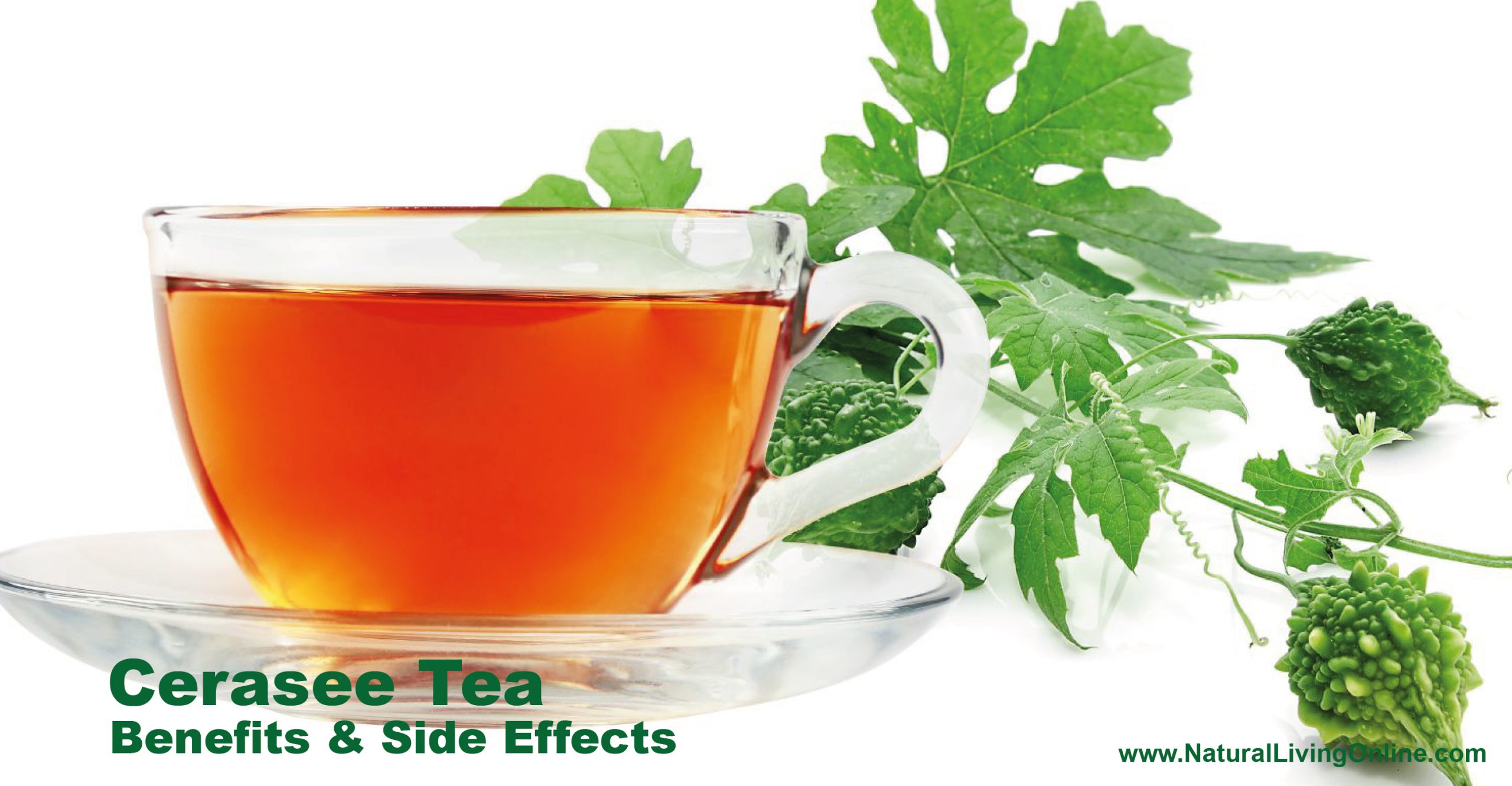 Cerasee tea benefits