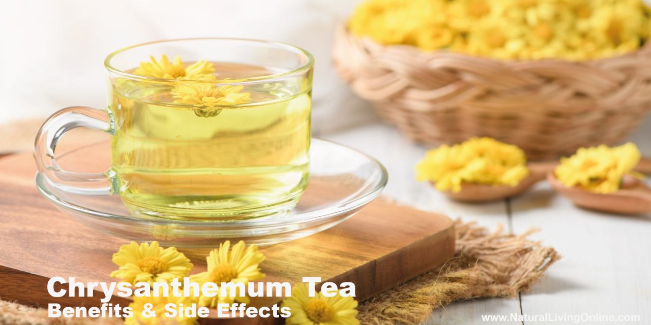 Chrysanthemum Tea Benefits & Side Effects: What You Need to Know