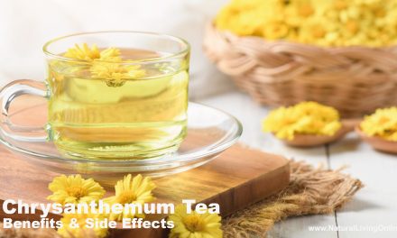 Chrysanthemum Tea Benefits & Side Effects: What You Need to Know