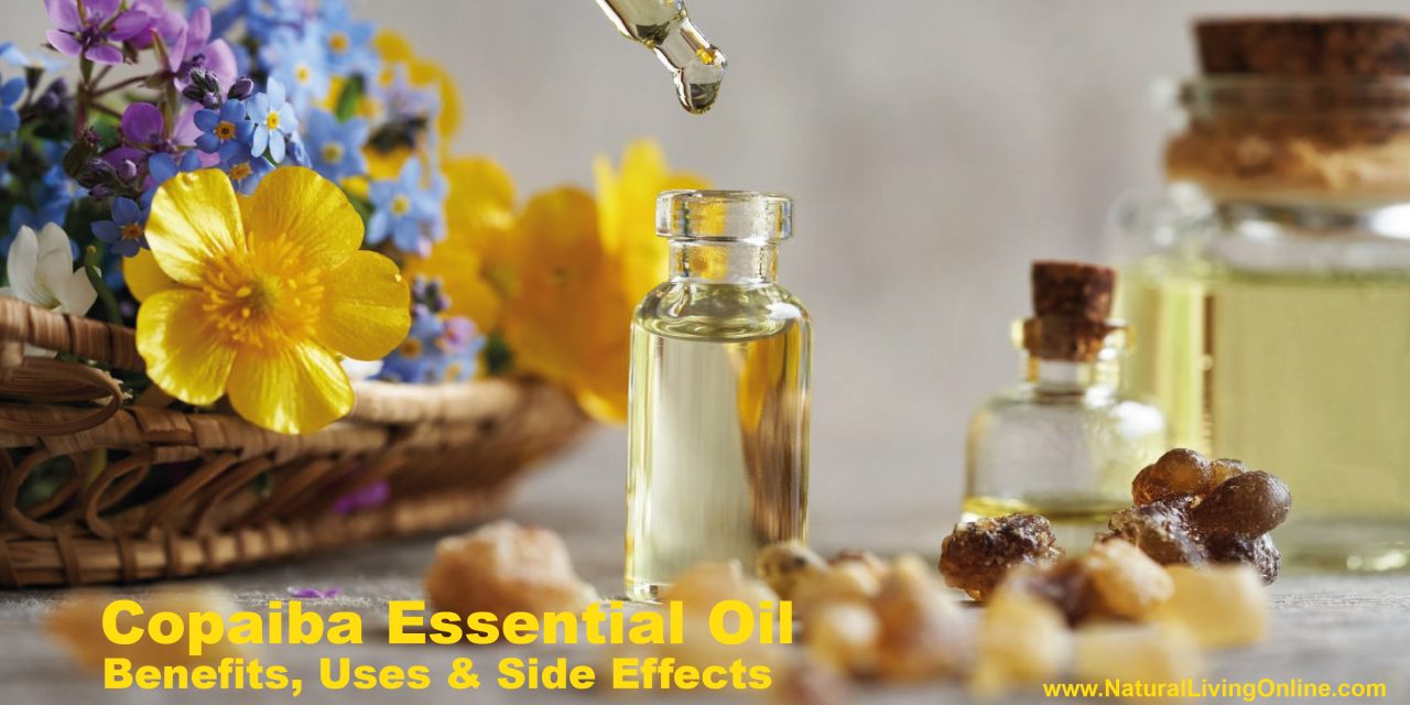 Copaiba Essential Oil Benefits, Uses & Side Effects: A Comprehensive Guide