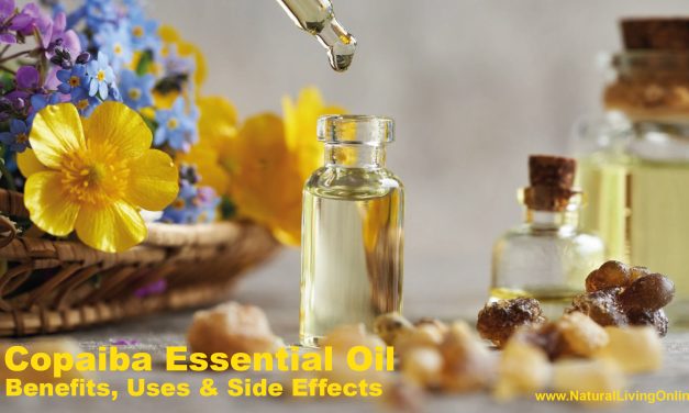 Copaiba Essential Oil Benefits, Uses & Side Effects: A Comprehensive Guide