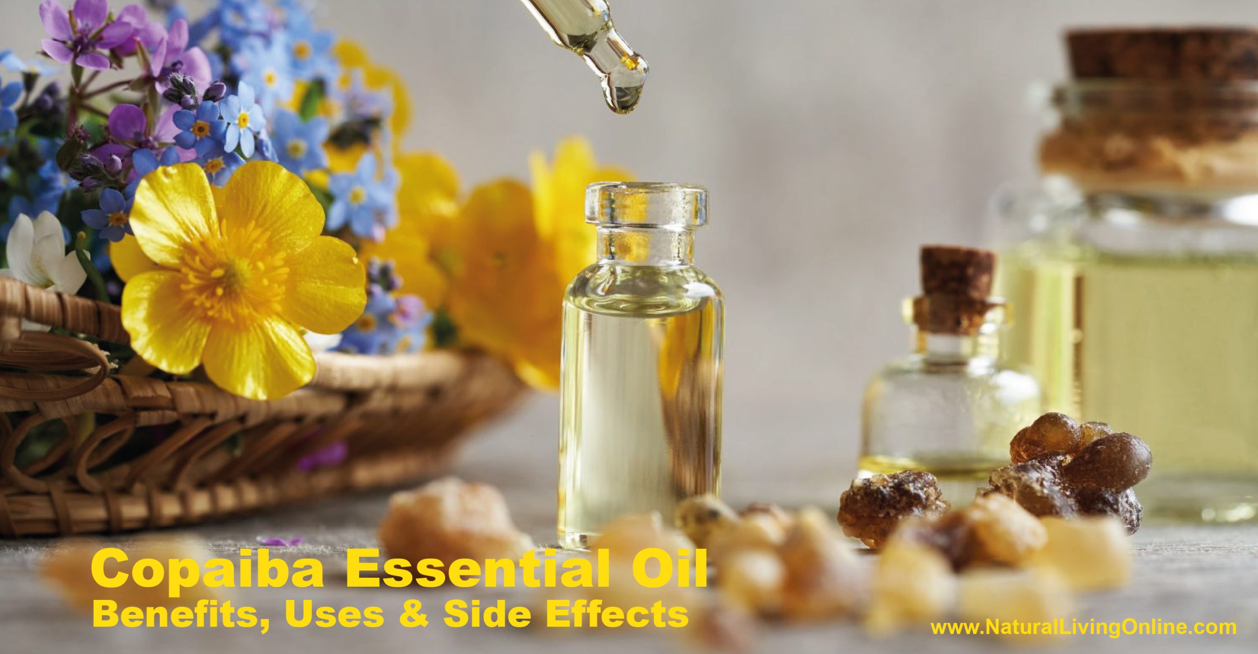 Copaiba Essential Oil