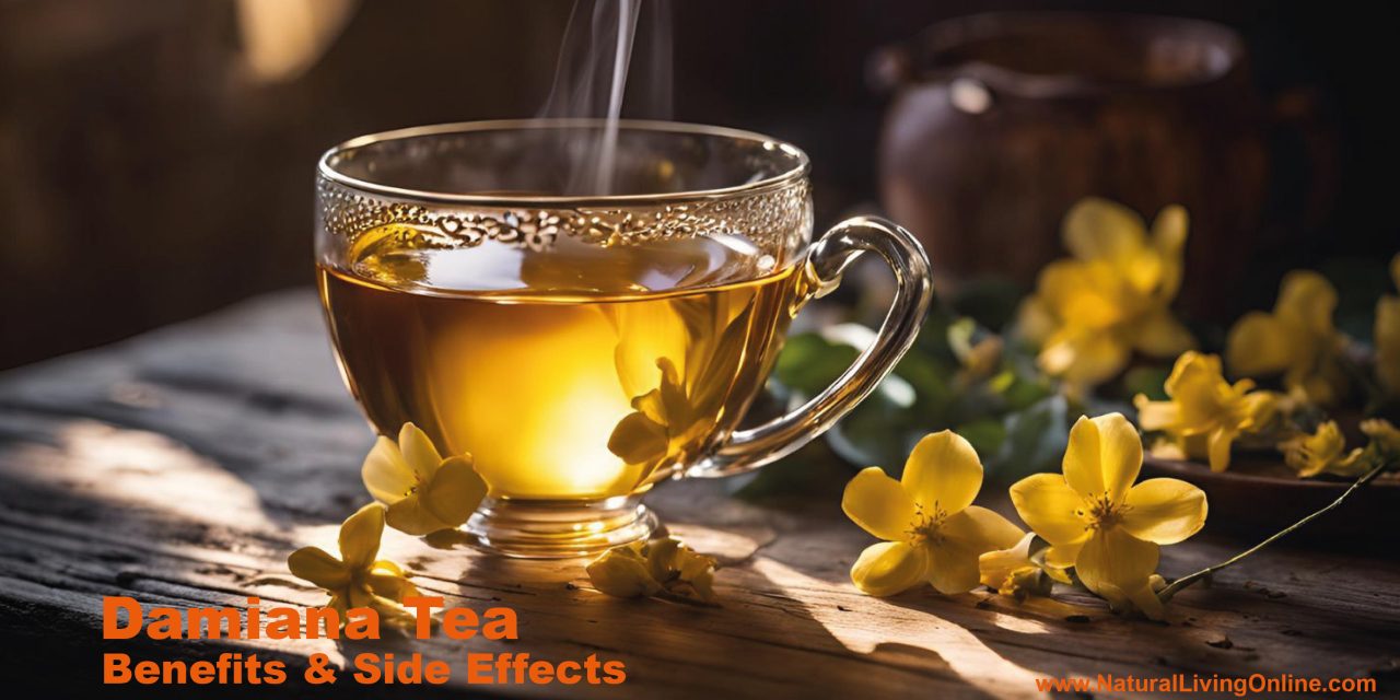 Damiana Tea Benefits: Unveiling Its Natural Health-Boosting Properties