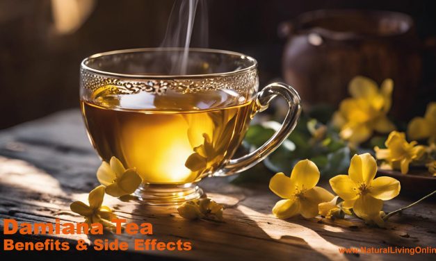 Damiana Tea Benefits: Unveiling Its Natural Health-Boosting Properties