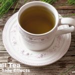 Horsetail Tea Benefits: Boosting Health with an Ancient Herb