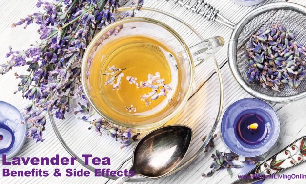 Lavender Tea Benefits and Side Effects: What You Need to Know