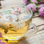 Red Clover Tea Benefits: A Natural Boost for Health and Wellness