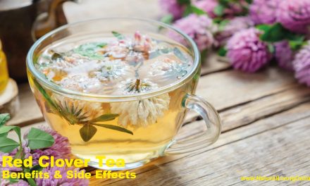 Red Clover Tea Benefits: A Natural Boost for Health and Wellness