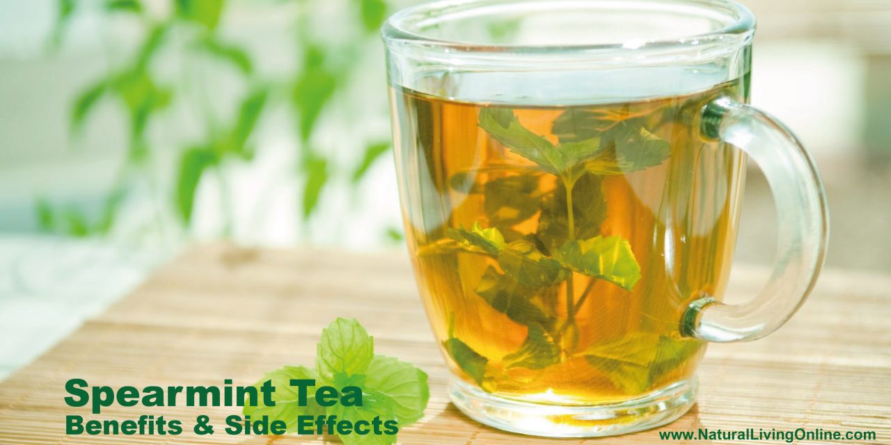 Spearmint Tea Benefits: A Natural Boost for Digestion and Relaxation