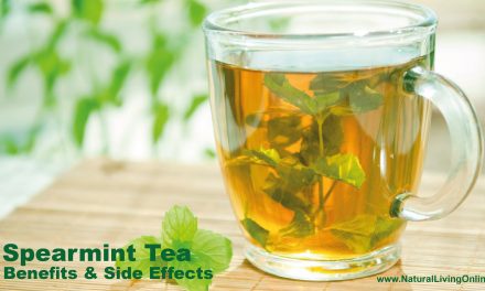 Spearmint Tea Benefits: A Natural Boost for Digestion and Relaxation