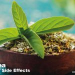 Tulsi Tea Benefits: Boosting Health with Nature’s Elixir