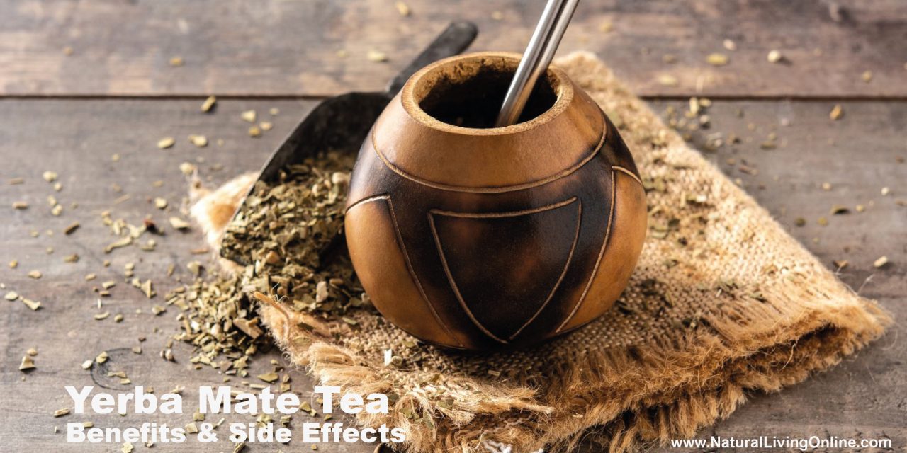 Yerba Mate Tea Benefits and Side Effects: A Comprehensive Overview