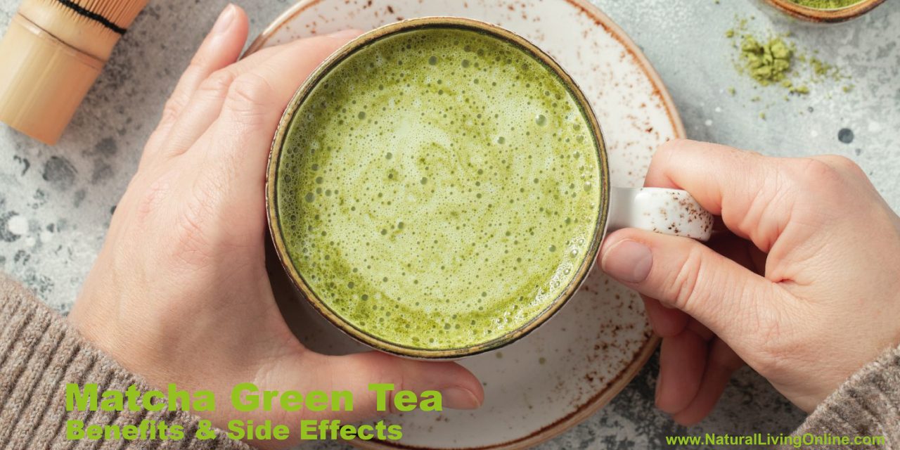 Matcha Green Tea Benefits: Powerful Antioxidants for Health and Wellness