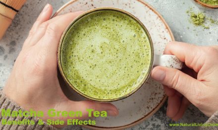 Matcha Green Tea Benefits: Powerful Antioxidants for Health and Wellness