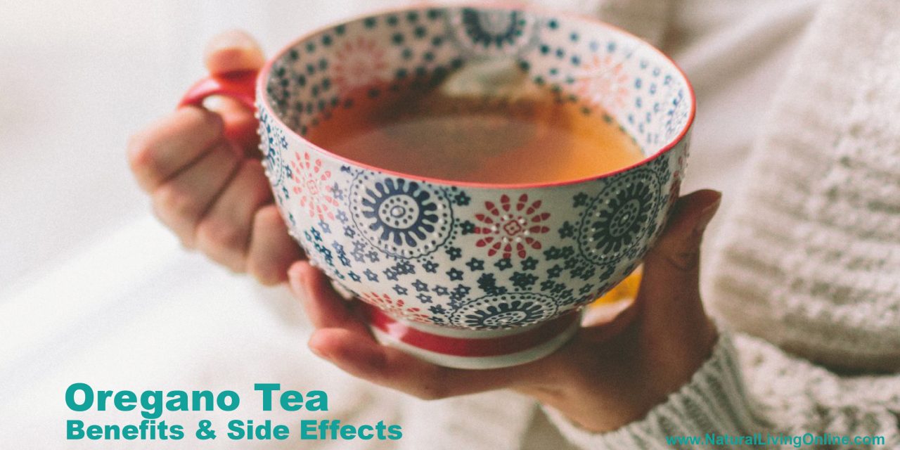 Oregano Tea Benefits & Side Effects: What You Need to Know