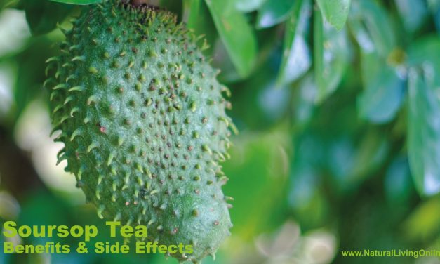 Soursop Tea Benefits: A Potent Natural Remedy for Health and Wellness